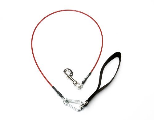 VirChewLy Indestructible Leash for Dogs, 4', Small, Red von VirChewLy Indestructible