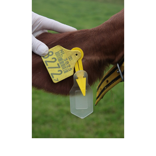 Auriplak - 1 Stück von Virbac