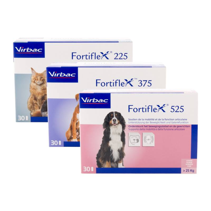 Fortiflex 526 - 30 Tabletten von Virbac