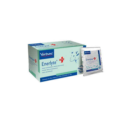 Virbac Enerlyte Plus Sachets - 6 Sachets von Virbac