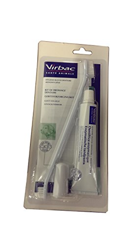 Virbac Hund Zahn Bürsten Kit TB 70 g + Kanüle 1 G von Virbac