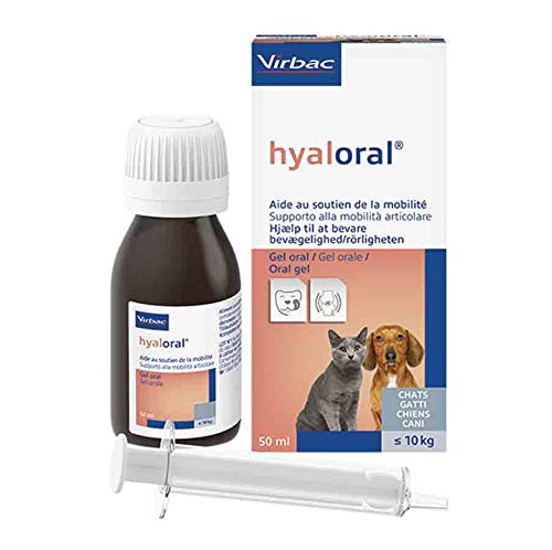 Virbac Hyaloral Gel für Katzen und Hunde, < 10 kg, 50 ml von Virbac
