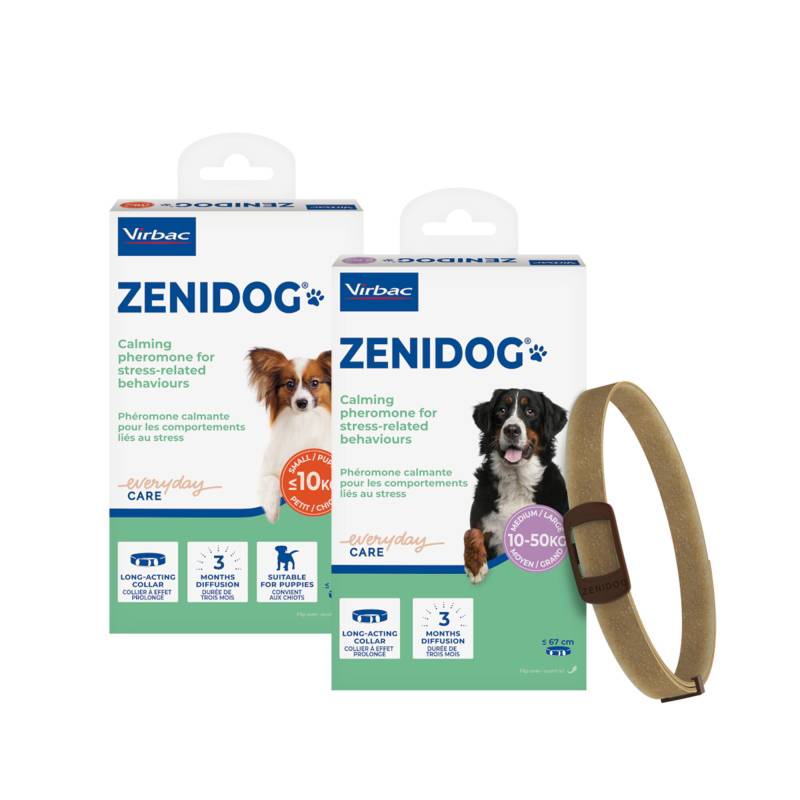Zenidog Halsband - S Zenidog Halsband - S von Virbac