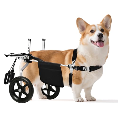 Virbraroo Corgi&Dackel Hund Wheelchiar - Hunderollstuhl für Hinterbeine - Leichte Einstellbare Mobilitätshilfe für mittelgroße Hunde - Ideal für IVDD, Arthritis & Verletzungserholung von Virbraroo
