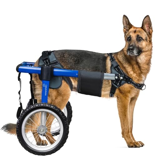 Virbraroo Großer Hunderollstuhl für Hinterbeine, verbesserte All-Terrain-Reifen und langlebige Kugellager, Hunderollstuhl für 49,8 cm - 74,9 cm, 40 - 60 kg behinderte oder verletzte große Hunde Virbraroo Großer Hunderollstuhl für Hinterbeine, verbesserte All-Terrain-Reifen und langlebige Kugellager, Hunderollstuhl für 49,8 cm - 74,9 cm, 40 - 60 kg behinderte oder verletzte große Hunde von Virbraroo