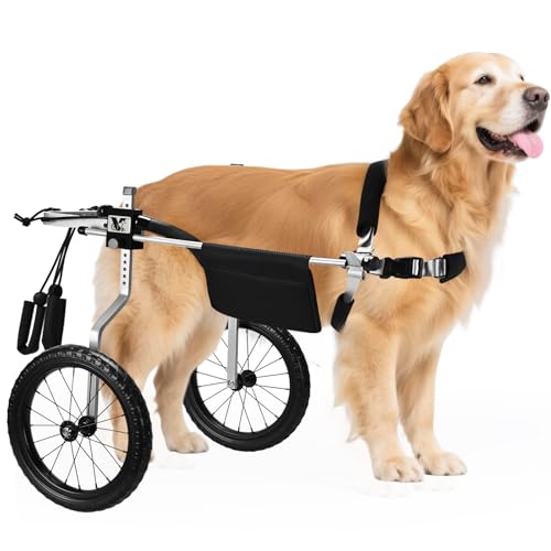 Virbraroo Hunderollstuhl für Hinterbeine, leicht, verstellbar, für mittelgroße und große Hunde, ideal für IVDD, Arthritis und Verletzungserholung von Virbraroo