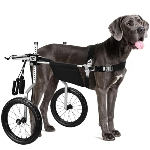 Virbraroo Hunderollstuhl für Hinterbeine, leicht, verstellbar, für mittelgroße und große Hunde, ideal für IVDD, Arthritis und Verletzungserholung von Virbraroo