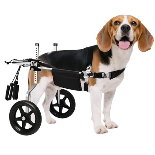 Virbraroo Hunderollstuhl für Hinterbeine, leicht, verstellbar, für mittelgroße und große Hunde, ideal für IVDD, Arthritis und Verletzungserholung Virbraroo Hunderollstuhl für Hinterbeine, leicht, verstellbar, für mittelgroße und große Hunde, ideal für IVDD, Arthritis und Verletzungserholung von Virbraroo