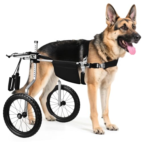 Virbraroo Hunderollstuhl für Hinterbeine, leicht, verstellbar, für mittelgroße und große Hunde, ideal für IVDD, Arthritis und Verletzungserholung von Virbraroo