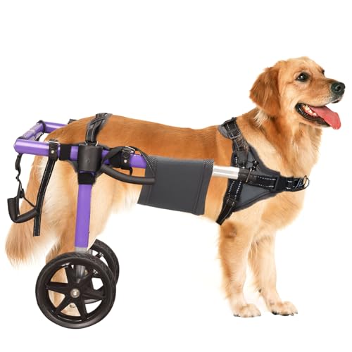 Virbraroo Hunderollstuhl für Hinterbeine – leichter Hunderollstuhl aus Aluminiumlegierung, verbesserte All-Terrain-Reifen für große Hunde, 22–30 kg (L) von Virbraroo