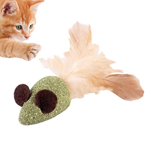 Virtcooy Katzenspielzeug Katzenminze | Kauspielzeug für Katzen in niedlicher Form – interaktives Katzenspielzeug für Indoor-Katzen zur Reinigung der Backenzähne, Kauspielzeug für Kätzchen von Virtcooy