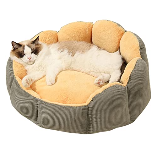 Virtcooy Weiches Bett für Katzen und Hunde, Bett für kleine Hunde, waschbar, abnehmbares Kissen für Haustiere, Bett für Katzen, kleine Hunde Kennel von Virtcooy
