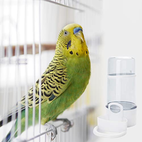 Automatische Vogelfutterspender, Vogelkäfig-Wasserspender, Vogel-Wasserflaschentrinker, transparenter Futtersamen-Spenderbehälter, transparent, zum Aufhängen im Käfig, Wasserspender für kleine von Visiblurry
