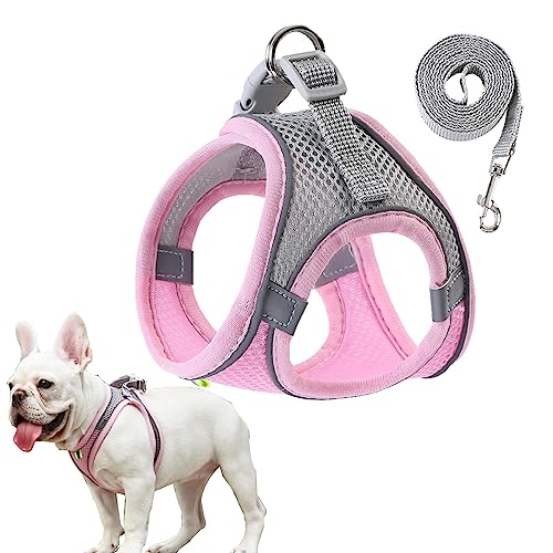 Hundewestengeschirre | Reflektierende Sicherheitsweste für Nachtwanderungen,Atmungsaktive Allwetter-Hundesicherheitsweste, gut sichtbare Haustierbekleidung für kleine mittelgroße Hunde, Visiblurry Hundewestengeschirre | Reflektierende Sicherheitsweste für Nachtwanderungen,Atmungsaktive Allwetter-Hundesicherheitsweste, gut sichtbare Haustierbekleidung für kleine mittelgroße Hunde, Visiblurry von Visiblurry