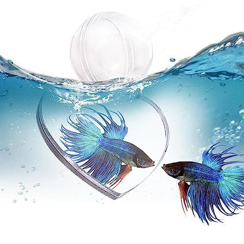 Kreisübungsspiegel für Aquariu | Schwimmender doppelseitiger Fishbowl-Spiegel | Amüsante Aquarium-Dekoration für Aquarien, Büro, Zuhause und Wohnzimmer Visiblurry von Visiblurry