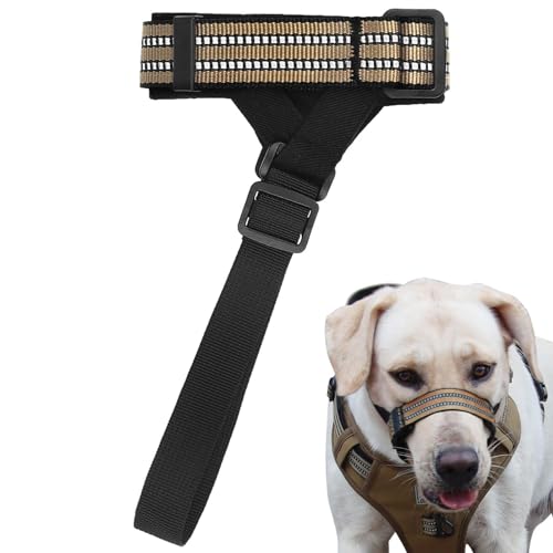 Mundschutz für Hunde | Unerwünschtes Kauen verhindert Maulkörbe für Hunde, nachts, reflektierend,Haustierzubehör für Outdoor-Aktivitäten zum Fotografieren, Zuhause, Spazierengehen, Reisen, Visiblurry Mundschutz für Hunde | Unerwünschtes Kauen verhindert Maulkörbe für Hunde, nachts, reflektierend,Haustierzubehör für Outdoor-Aktivitäten zum Fotografieren, Zuhause, Spazierengehen, Reisen, Visiblurry von Visiblurry