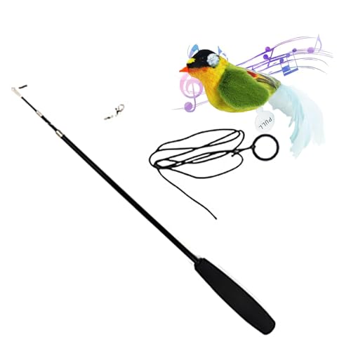 Visiblurry Katzen-Teaser,Vogel Design Zauberstab Federspielzeug - Wiederverwendbares, interaktives, quietschendes Katzen-Teaser-Entwicklungsspielzeug für Katzenwelpen im Innenbereich Visiblurry Katzen-Teaser,Vogel Design Zauberstab Federspielzeug - Wiederverwendbares, interaktives, quietschendes Katzen-Teaser-Entwicklungsspielzeug für Katzenwelpen im Innenbereich von Visiblurry
