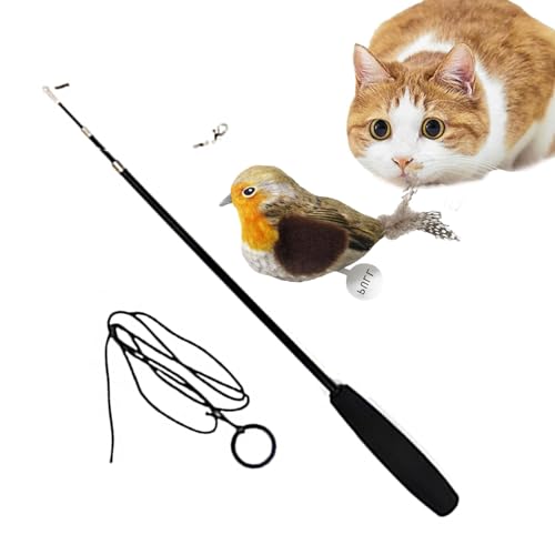 Visiblurry Katzenstab Teaser Schnurspielzeug,Vogel Zauberstab Feder Teaser Spielzeug für Katzen - Wiederverwendbarer Katzenspielzeugstab für den Innenbereich, Katzenfederspielzeug für Kätzchen Visiblurry Katzenstab Teaser Schnurspielzeug,Vogel Zauberstab Feder Teaser Spielzeug für Katzen - Wiederverwendbarer Katzenspielzeugstab für den Innenbereich, Katzenfederspielzeug für Kätzchen von Visiblurry