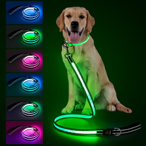 LED-Hundeleine, 122 cm, beleuchtete und beleuchtete Hundeleine, 7 Beleuchtungsmodi, leuchtet im Dunkeln, reflektierend, doppelseitiges Licht, wiederaufladbar mit gepolstertem Griff für Sicherheit bei LED-Hundeleine, 122 cm, beleuchtete und beleuchtete Hundeleine, 7 Beleuchtungsmodi, leuchtet im Dunkeln, reflektierend, doppelseitiges Licht, wiederaufladbar mit gepolstertem Griff für Sicherheit bei von Visinite