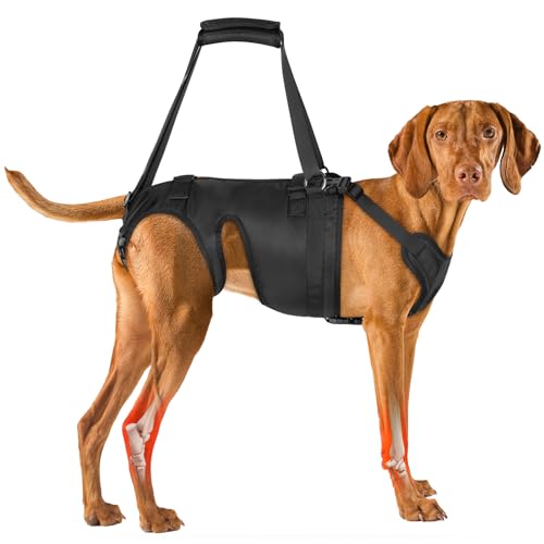 Visinite Hundegeschirr, Hebegeschirr für Hinterbeine/Hüftstütze mit Griffen, Hundestützbandage, Hilfe bei Arthritis, schwachen Beinen, Verletzungen der Beweglichkeit (M) von Visinite