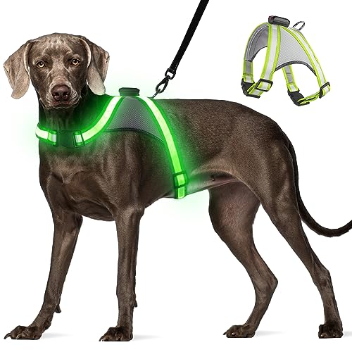 Visinite LED-Hundegeschirr, über USB wiederaufladbar, beleuchtet, 2 Leuchtmodi, leuchtet im Dunkeln, verstellbares beleuchtetes Hundegeschirr für Sicherheit bei Nacht (Grün, Größe S) von Visinite