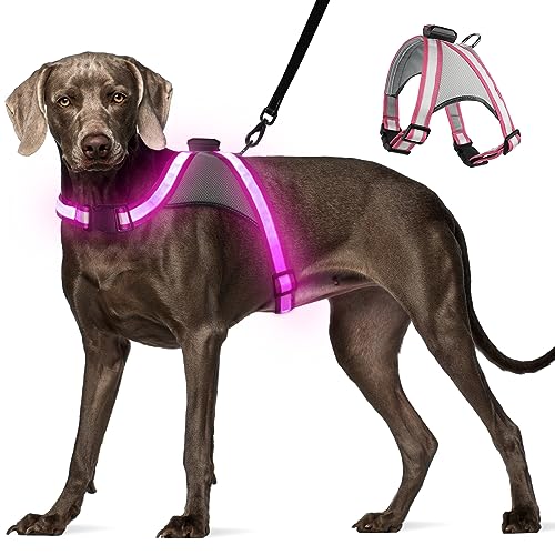Visinite LED-Hundegeschirr, über USB wiederaufladbar, beleuchtet, 2 Leuchtmodi, leuchtet im Dunkeln, verstellbares beleuchtetes Hundegeschirr für Sicherheit bei Nacht (Rosa, klein) von Visinite