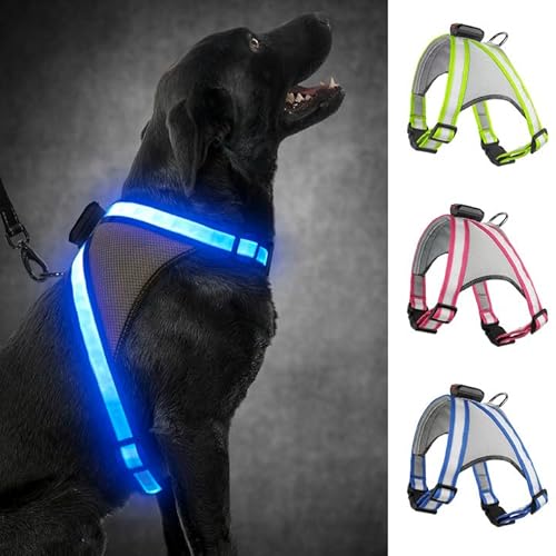 Visinite Led Hundegeschirr mit Licht, Hundegeschirr Leuchtend Aufladbar, 2 Beleuchtungsmodi Leuchtgeschirr füR Hunde, Einstellbares Beleuchtetes Hundegeschirr Licht FüR Sicherheit Beim Nachtgehen Visinite Led Hundegeschirr mit Licht, Hundegeschirr Leuchtend Aufladbar, 2 Beleuchtungsmodi Leuchtgeschirr füR Hunde, Einstellbares Beleuchtetes Hundegeschirr Licht FüR Sicherheit Beim Nachtgehen von Visinite