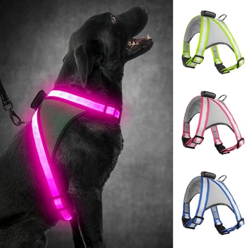 Visinite Led Hundegeschirr mit Licht, Hundegeschirr Leuchtend Aufladbar, 2 Beleuchtungsmodi Leuchtgeschirr füR Hunde, Einstellbares Beleuchtetes Hundegeschirr Licht FüR Sicherheit Beim Nachtgehen von Visinite