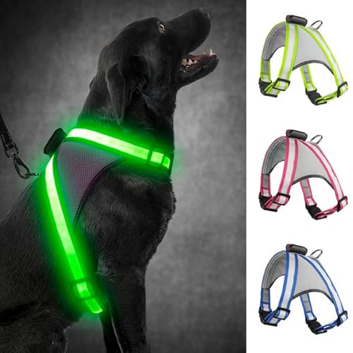 Visinite Led Hundegeschirr mit Licht, Hundegeschirr Leuchtend Aufladbar, 2 Beleuchtungsmodi Leuchtgeschirr füR Hunde, Einstellbares Beleuchtetes Hundegeschirr Licht FüR Sicherheit Beim Nachtgehen von Visinite