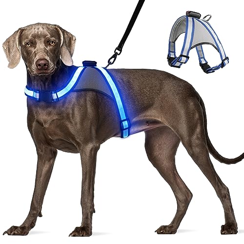 Visinite Led Hundegeschirr mit Licht, Hundegeschirr Leuchtend Aufladbar, 2 Beleuchtungsmodi Leuchtgeschirr füR Hunde, Einstellbares Beleuchtetes Hundegeschirr Licht FüR Sicherheit Beim Nachtgehen Visinite Led Hundegeschirr mit Licht, Hundegeschirr Leuchtend Aufladbar, 2 Beleuchtungsmodi Leuchtgeschirr füR Hunde, Einstellbares Beleuchtetes Hundegeschirr Licht FüR Sicherheit Beim Nachtgehen von Visinite