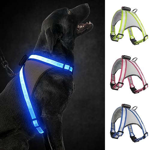 Visinite Led Hundegeschirr mit Licht, Hundegeschirr Leuchtend Aufladbar, 2 Beleuchtungsmodi Leuchtgeschirr füR Hunde, Einstellbares Beleuchtetes Hundegeschirr Licht FüR Sicherheit Beim Nachtgehen Visinite Led Hundegeschirr mit Licht, Hundegeschirr Leuchtend Aufladbar, 2 Beleuchtungsmodi Leuchtgeschirr füR Hunde, Einstellbares Beleuchtetes Hundegeschirr Licht FüR Sicherheit Beim Nachtgehen von Visinite