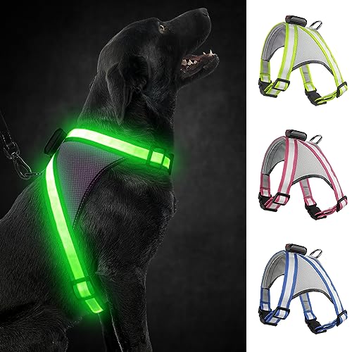 Visinite Led Hundegeschirr mit Licht, Hundegeschirr Leuchtend Aufladbar, 2 Beleuchtungsmodi Leuchtgeschirr füR Hunde, Einstellbares Beleuchtetes Hundegeschirr Licht FüR Sicherheit Beim Nachtgehen Visinite Led Hundegeschirr mit Licht, Hundegeschirr Leuchtend Aufladbar, 2 Beleuchtungsmodi Leuchtgeschirr füR Hunde, Einstellbares Beleuchtetes Hundegeschirr Licht FüR Sicherheit Beim Nachtgehen von Visinite