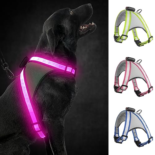 Visinite Led Hundegeschirr mit Licht, Hundegeschirr Leuchtend Aufladbar, 2 Beleuchtungsmodi Leuchtgeschirr füR Hunde, Einstellbares Beleuchtetes Hundegeschirr Licht FüR Sicherheit Beim Nachtgehen Visinite Led Hundegeschirr mit Licht, Hundegeschirr Leuchtend Aufladbar, 2 Beleuchtungsmodi Leuchtgeschirr füR Hunde, Einstellbares Beleuchtetes Hundegeschirr Licht FüR Sicherheit Beim Nachtgehen von Visinite