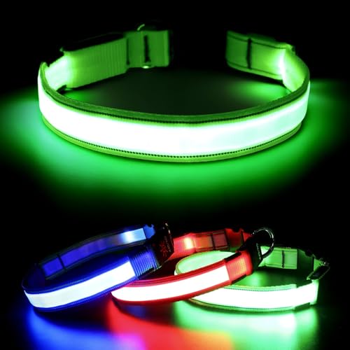 Visinite Leuchtendes Hundehalsband, LED-Hundehalsband, wiederaufladbar, wasserdicht, reflektierendes Hundehalsband, vollständig verstellbar, blinkend, für mittelgroße und große Hunde, Grün, Größe M von Visinite