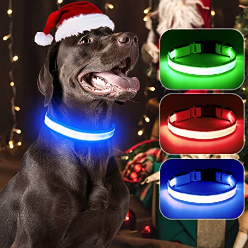 Visinite Leuchtendes Hundehalsband, LED-Hundehalsband, wiederaufladbar, wasserdicht, reflektierendes Hundehalsband, vollständig verstellbar, blinkend, für mittelgroße und große Hunde von Visinite