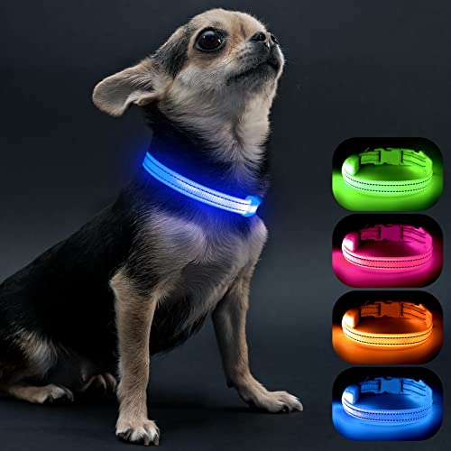Visinite Leuchthalsband Hund,Wasserdicht,Verstellbare,USB Aufladbar LED Hunde Halsbänder, Leuchtet im Dunkeln, Leuchtendes Hundehalsband hält Ihren Kleinen Hund Sichtbar und Sicher,Blau,S von Visinite