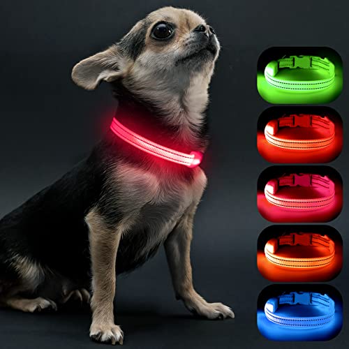 Visinite Leuchthalsband Hund,Wasserdicht,Verstellbare,USB Aufladbar LED Hunde Halsbänder, Leuchtet im Dunkeln, Leuchtendes Hundehalsband hält Ihren Kleinen Hund Sichtbar und Sicher,Rosa,S von Visinite