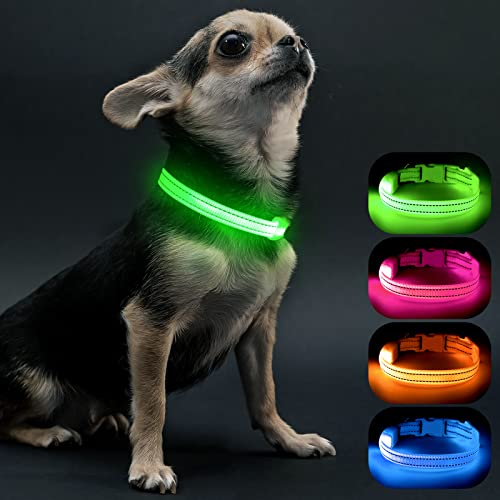 Visinite Leuchthalsband Hund,Wasserdicht,Verstellbare,USB Aufladbar LED Hunde Halsbänder, Leuchtet im Dunkeln,Leuchtendes Hundehalsband hält Ihren Kleinen Hund Sichtbar und Sicher,Grün,S von Visinite