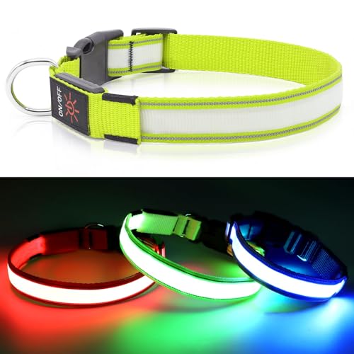 Visinite Leuchtendes Hundehalsband, LED-Hundehalsband, wiederaufladbar, wasserdicht, reflektierendes Hundehalsband, vollständig verstellbar, blinkend, für mittelgroße und große Hunde, Grün, L von Visinite