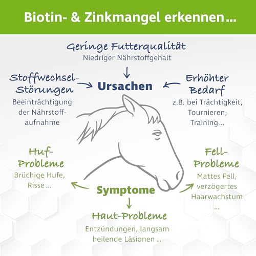 VitPet+ Biotin Plus Zink – Premium Ergänzungsfuttermittel mit hochdosiertem Zink und Biotin Pferd – Zur Unterstützung von Haut, Fell und Hufe – Bei Mauke und Ekzemen – 1,2 kg inkl. Dosierlöffel von VitPet+