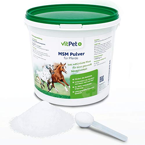 VitPet+ MSM Pferd – Premium MSM Pulver für Pferde im 1,8 kg Eimer inkl. Dosierlöffel (Methylsulfonylmethan- / Schwefel-Pulver für Pferde und Hunde) von VitPet+