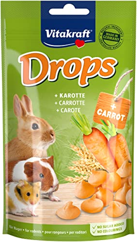 Vitakraft Drops, Leckerlis für Hasen und Hamster, mit Karotte, ideal zum Verwöhnen, ohne Zusatz von Zucker (1x 75g) Vitakraft Drops, Leckerlis für Hasen und Hamster, mit Karotte, ideal zum Verwöhnen, ohne Zusatz von Zucker (1x 75g) von Vitakraft