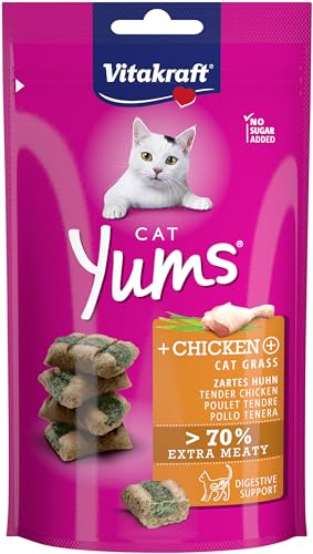 Vitakraft - YUMS Katze, saftiger Snack für Katzen mit Huhn und Katzengras - 40 g von Vitakraft
