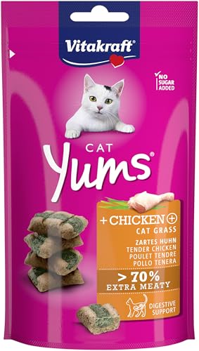 Vitakraft Cat Yums, Katzen Leckerli, weicher Katzensnack gefüllt mit Huhn und Katzengras, im wiederverschließbaren Beutel, ohne Zusatz von Zucker (1x 40g) von Vitakraft