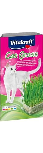 Vitakraft Cat Grass, frisches Katzengras, Katzengras fertig gewachsen, mit Vitaminen und Mineralien (1x 120g) von Vitakraft