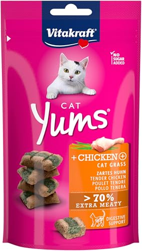 Vitakraft Cat Yums, Katzen Leckerli, weicher Katzensnack gefüllt mit Huhn und Katzengras, im wiederverschließbaren Beutel, ohne Zusatz von Zucker (1x 40g) von Vitakraft