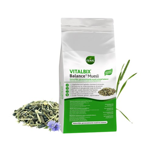 Vitalbix Balance+ Muesli - 14 kg Vitalbix Balance+ Muesli - 14 kg von Vitalbix