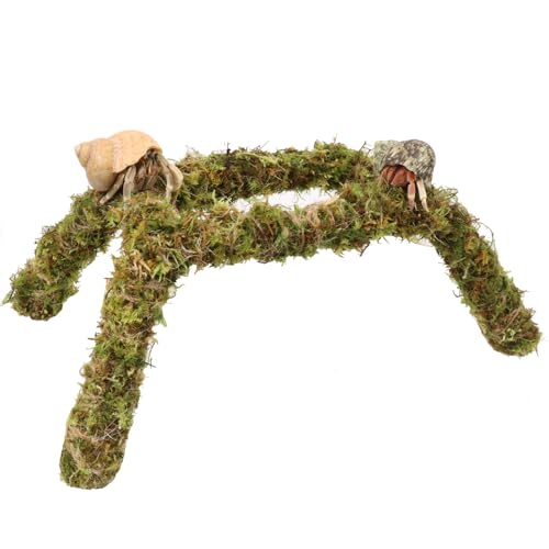 Einsiedlerkrebskrabben-Kletterspielzeug, 27,9 cm Einsiedlerkrebs-Zubehör, ideales Einsiedlerkrebs-Lebensraum Tank-Terrarium-Zubehör von Vitalili