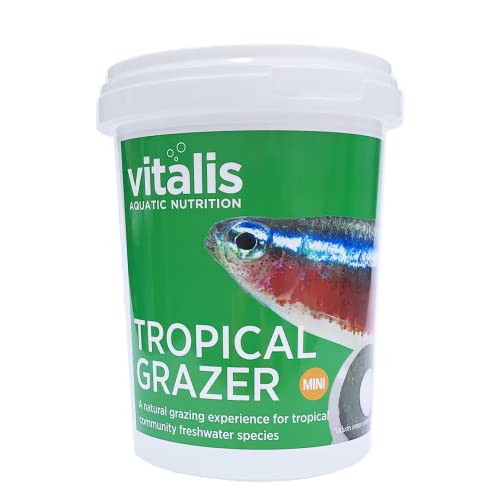 Vitalis Tropical Mini Grazers Fischfutter Aquarium Fischfutter Aquarium Grazers für Tropische Fischarten - hochverdaulich und ausgewogen - Vitamine und Mineralien (240g) von Vitalis Aquatic Nutrition