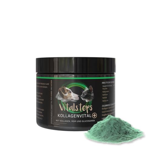 Vitalsteps KollagenVital+ 500g | Kollagen MSM Glucosamin Chlorella Chondroitin Hagebutte Brennnessel Curcuma - Hund u. Katze Vitalsteps KollagenVital+ 500g | Kollagen MSM Glucosamin Chlorella Chondroitin Hagebutte Brennnessel Curcuma - Hund u. Katze von Vitalsteps